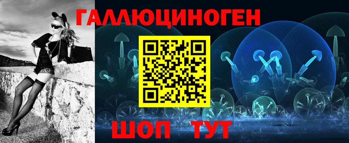 Псилоцибиновые грибы Psilocybine cubensis Октябрьский