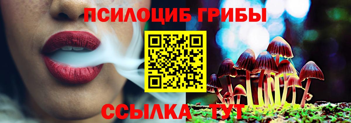 продажа наркотиков  Галлюциногенные грибы Cubensis  Вход с VPN  Псилоцибиновые грибы GOLDEN TEACHER  Октябрьский 